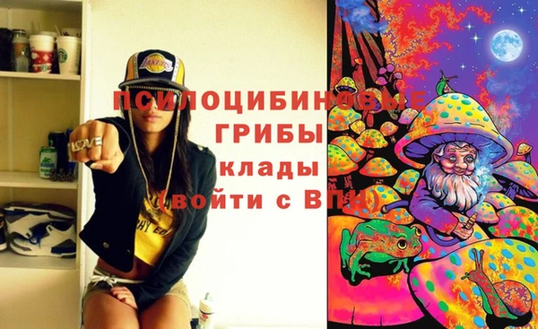 PSILOCYBIN Киреевск