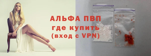 прущие грибы Коряжма