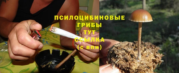 мяу мяу мука Костерёво
