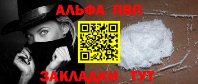 стаф Гатчина