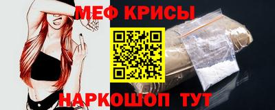 стаф Гатчина