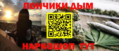 стаф Гатчина