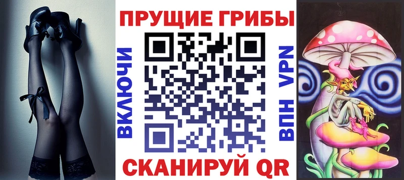 MEGA как войти  сколько стоит  Курчатов  Галлюциногенные грибы GOLDEN TEACHER 