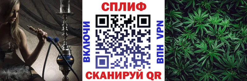 цены   Курчатов  Шишки марихуана OG Kush 